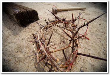 Crown of thorns and cross